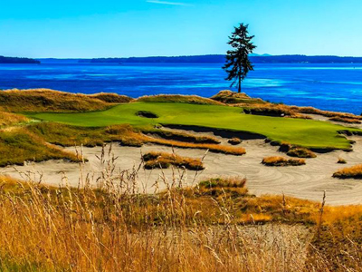 Chambers Bay Golf Course, Hole #15